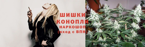 ешки Алзамай