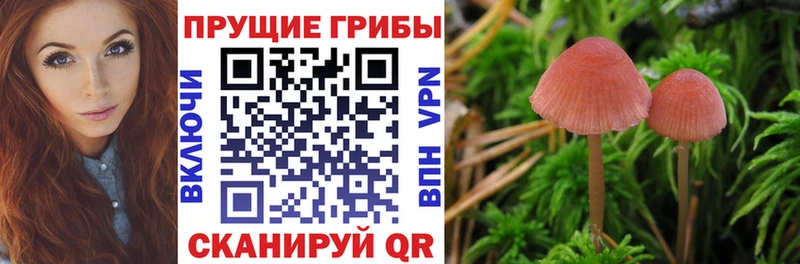 Псилоцибиновые грибы мухоморы OMG как зайти Фёдоровский